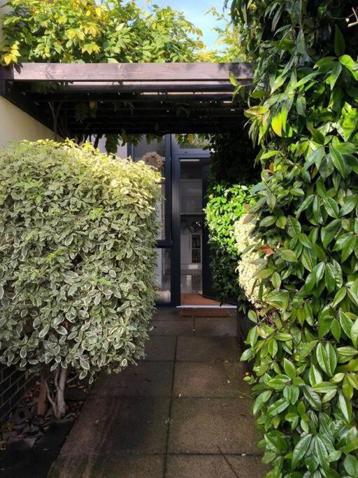 Private Garden Oasis In Central Bristol Luaran gambar
